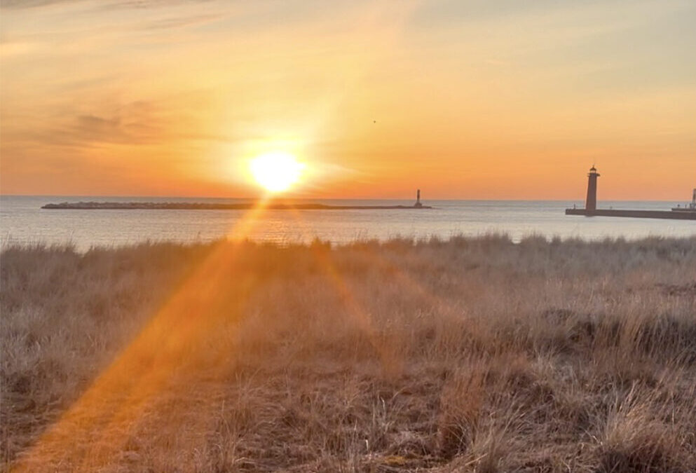 Embracing Challenges & Finding Purpose in the Journey